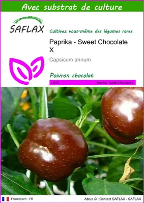 Image de SAFLAX - Paprika - Sweet Chocolate X - 10 graines - Avec substrat - Capsicum