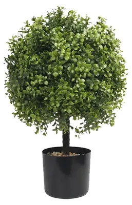 Produktbild von Topiary-Bäume, 20" Höhe, Außendekor, keine Frucht