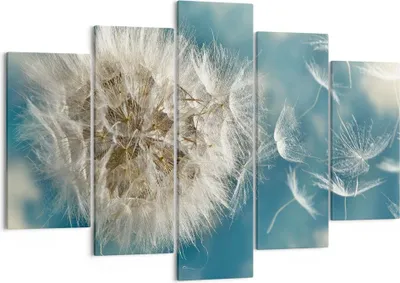 Produktbild von Bild auf Leinwand - Leinwandbild - Baby Sommer Pflanze - 150x100cm - Wand Bild - Wanddeko - Leinwanddruck - Bilder - Kunstdruck - Wanddekoration - Leinwand bilder - Wandkunst - EA150x100-3567