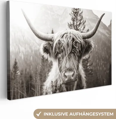 Produktbild von MuchoWow® - Leinwandbilder - Schottischer Highlander - Kuh - Tiere - Schwarz - Weiß, Wandbild, Wanddeko Bilder Wohnzimmer, 120x80 cm