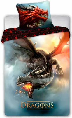 A dragon-themed duvet cover and pillowcase set.