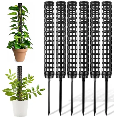 Immagine prodotto di Supporto per piante muschio - Estensibile fino a 150 cm - 6 pezzi - 25 cm - Supporto per piante - Sistema di sostegno per piante rampicanti come Monstera, Pothos e altre piante