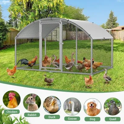 Imagen del producto de Gallinero con diseño curvo y techo solar, de 3 x 2 x 2 metros