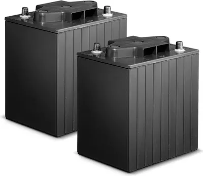 Zdjęcie produktu dla Kärcher 2.815-093.0, Bateria, 24 V, 2 szt.