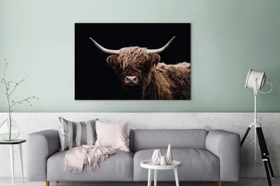 Produktbild von MuchoWow® - Leinwandbilder - Schottischer Highlander - Schwarz - Horn, Wandbild, Wanddeko Bilder Wohnzimmer, 120x80 cm
