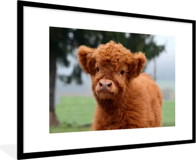 Produktbild von MuchoWow® Gerahmtes Poster Scottish Highlander - Kalb - Gras 90x60 cm - Poster mit Schwarzem Bilderrahmen Wandposter Rahmen Foto Bilder - Wanddekoration - Fotos