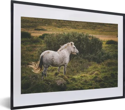 Produktbild von MuchoWow® MuchoWow® Gerahmtes Poster Pferd - Weiß - Island 40x30 cm - Poster mit zchwarzem Bilderrahmen - Bilderrahmen - Poster im Rahmen