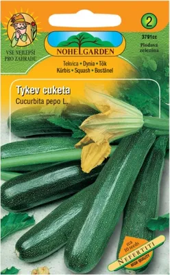 Obrázok produktu pre Cuketa cuketa zelená NEFERTITI