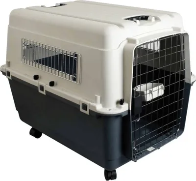 Produktbild von Transportbox Nomad Gr. L inkl. Rollen 81 x 56 x 59 cm grau-weiß, max belastbar 25 kg