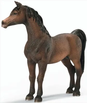 Produktbild von Schleich 13629 - Araber Hengst