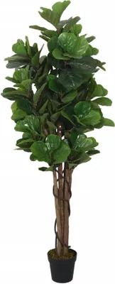 Immagine prodotto di Albero Ficus Lyrata 134 Foglie 120 cm Verde