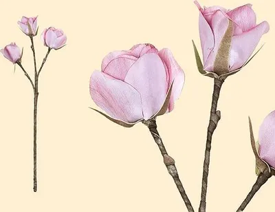 Produktbild von Gilde Deko Pfingstrose Kunstblume