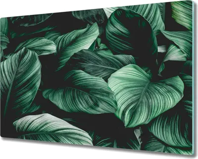 Produktbild von Coloray Schneidebrett Herdabdeckplatte 80x52 cm Kochplattenabdeckung Küchenbrett Hackbrett - Blätter Monster