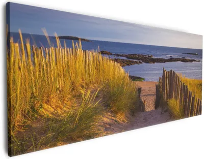 Produktbild von Wallario Premium Leinwandbild Weg durch die Dünen zum Meer an der Küste in Größe 50 x 125 cm