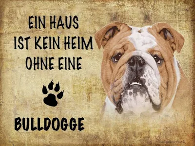 Produktbild von vianmo Holzschild 30x40 cm Bulldogge Hund ohne kein Heim