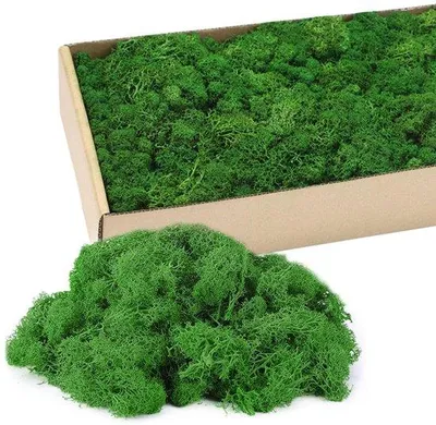 Produktbild von Kunstmatig IJslands mos, 200 g, knutselmateriaal, decoratie- oder Schildermos, kunstgerechtet, für Schilderarbeiten