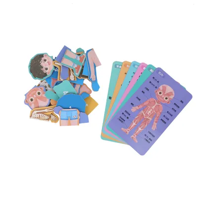 Image de Jouet puzzle structure du corps,Jouet puzzle organe du corps,Jouet cognition structure du corps,Jouet puzzle,Jouets éducatifs