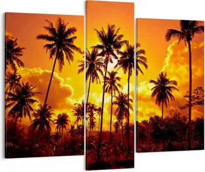 Produktbild von Bild auf Leinwand - Leinwandbild - Palmen Bäume Sonne - 95x80cm - Wand Bild - Wanddeko - Wandbilder - Leinwanddruck - Bilder - Kunstdruck - Wanddekoration - Leinwand bilder - Wandkunst - CB95x80-0187