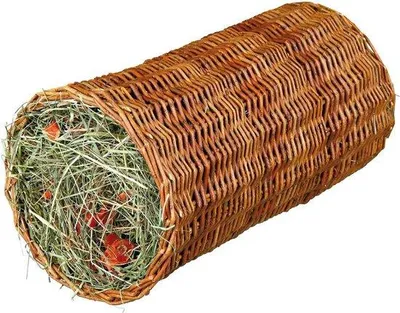 Produktbild von Nagertunnel Heu Karotte 20x38cm