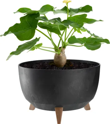 Image de KADAX Pot de fleurs Pot de fleurs 33 cm Couvercle + pieds d'insertion Pied de fleur en liège Noir