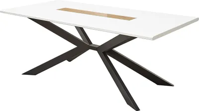 Produktbild von Esstisch mit Spider-Gestell, 180x100cm, weiß, FALLON-55