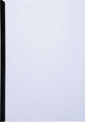 Produktbild von Exacompta 100er Einbanddeckel Evercover 270g/qm Lederprägung A4 Weiß 2784C