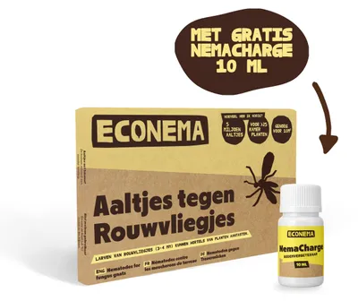 Productafbeelding van Econema Aaltjes tegen rouwvliegjes – kleine zwarte vliegjes bij kamerplanten bestrijden – 10 m² / 25 planten