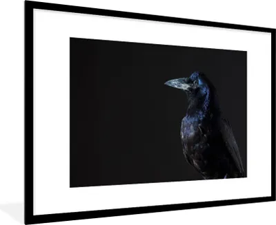 Produktbild von MuchoWow® Gerahmtes Poster Vogel - Tiere - Schwarz 90x60 cm - Poster mit Schwarzem Bilderrahmen Wandposter Rahmen Foto Bilder - Wanddekoration - Fotos