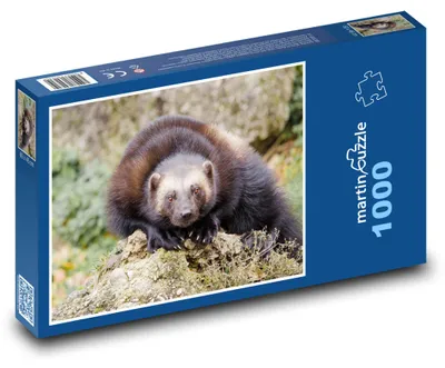 Obrázek produktu pro martinpuzzle - Puzzle 1000 - Rosomák