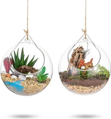 Image de Boule en verre suspendue Vase Succulentes Terrarium DIY Vase pour plantes 2 pièces