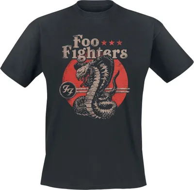 Produktbild von Foo Fighters T-Shirt Herren Snake schwarz Band-Merch, Bands 100% Baumwolle M