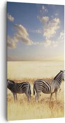 Produktbild von Bild auf Leinwand - Leinwandbild - Zebra tier gestreift savanne - 65x120cm - Wand Bild - Wanddeko - Leinwanddruck - Bilder - Kunstdruck - Wanddekoration - Leinwand bilder - Wandkunst - PA65x120-2596