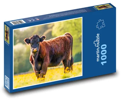 Zdjęcie produktu dla Puzzle 1000 Krowa na zielonej łące - martinpuzzle