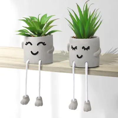 Produktbild von Omgoods – Set aus 2 Pflanzgefäßen mit Zementtopf
