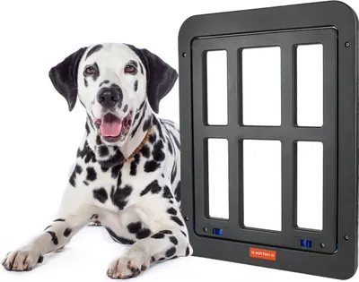 Produktbild von Katzenklappe Fliegengitter – Automatische Verschluss Hundeklappe für Balkontüren, Haustierklappe in Schwarz