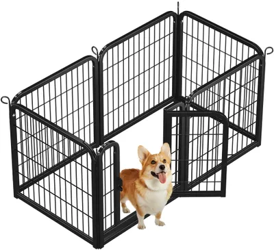 A dog is standing in a black metal playpen.