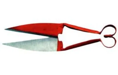 Productafbeelding van Schaarschaar voor schapen - 30 cm