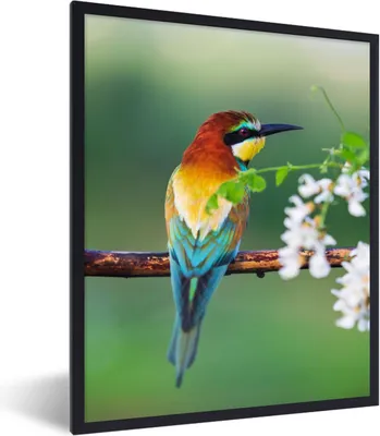 Produktbild von MuchoWow® Gerahmtes Poster Vogel - Bienenfresser - Blumen 60x80 cm - Poster mit Schwarzem Bilderrahmen Wandposter Rahmen Foto Bilder - Premium - Wanddeko Wohnzimmer