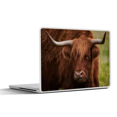 Produktbild von MuchoWow® Laptop Aufkleber Sticker Cover Schottischer Highlander - Orange - Tiere 30x21 cm - Sticker für Laptop - Selbstklebend