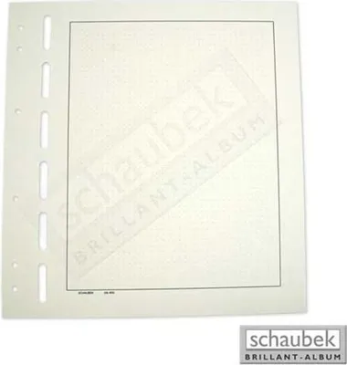 Produktbild von Schaubek Blankoblätter gelblich-weiß mit Rahmen und Punkten
