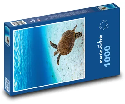 Zdjęcie produktu dla Puzzle 1000 Mořská želva - martinpuzzle