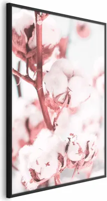 Produktbild von Posterpapier Poster - Baumwolle in Bloom 29.7x42 cm Blumen b-B-0425-ao-a