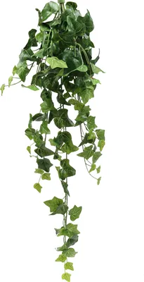 Produktbild von Künstlicher Efeu Hängepflanze Grün 90cm - Täuschend Echte Pflanzen Deko für Büro und Zuhause
