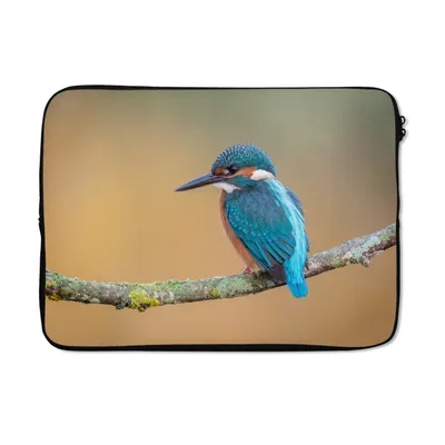 Produktbild von MuchoWow® Laptop Hülle 13 Zoll Vogel - Eisvogel - Tiere - Zweig Laptoptasche - Laptophülle - Sleeve - Rundumschutz