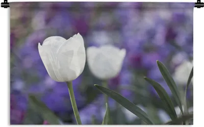 Produktbild von MuchoWow® Wandteppich Wandbehang Nahaufnahme der weißen Blätter einer weißen Tulpe 60x40 cm Tapisserie Dekoration Wandtuch - Wanddekorationen