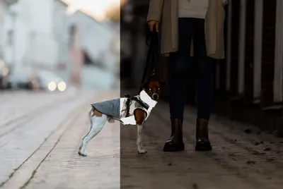 Produktbild von TRIXIE Geschirr-Wintermantel Pontis Reflect - grau
