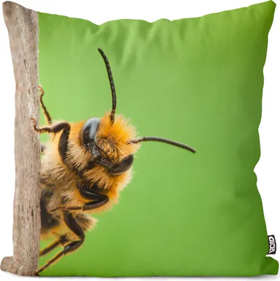 Produktbild von VOID Biene Insekten Sommer Kissenbezug Kissenhülle Sofakissen Kissen Deko Outdoor-Kissen Dekokissen