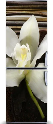 Produktbild von Tulup Kühlschrankdekoration - Magnetmatte - 70 cm x 190 cm - Magnet auf dem Kühlschrank - Orchidee