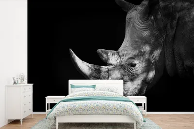 Produktbild von MuchoWow® Fototapete für Wohnzimmer oder Schlafzimmer Wandtapete Vinyl Motivtapete Rhinozeros - Tier - Licht - 360x240 cm - Vinyl-Tapete
