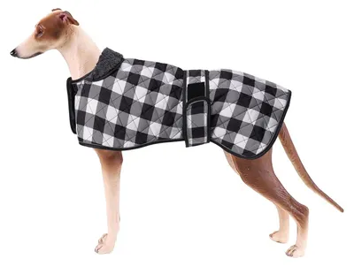 Image de Manteau imperméable pour chiens, idéal pour les Greyhounds et les Lurchers